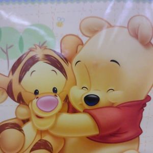 Meet your Posher, Erika